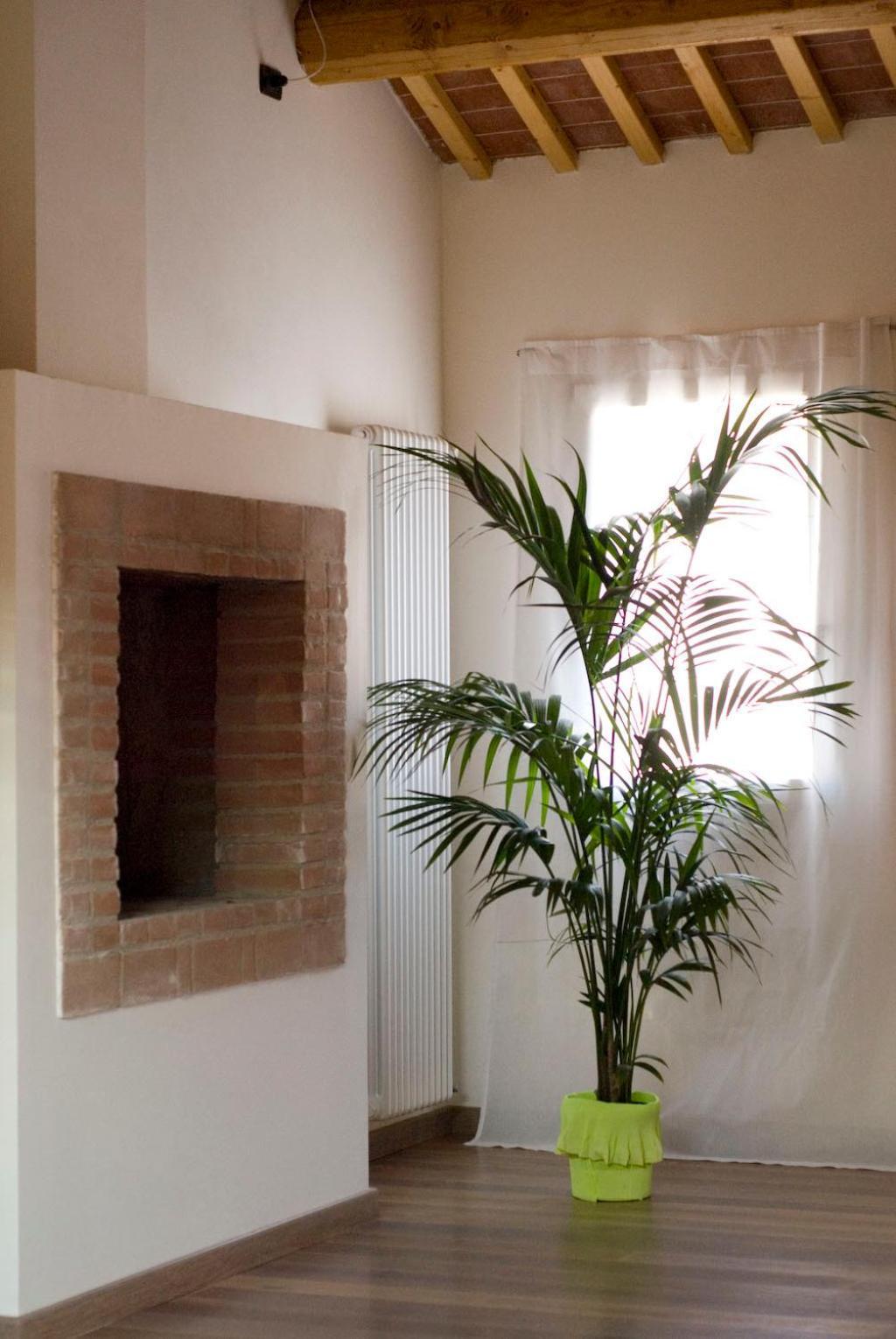 B&B Cittabella Τσιταντέλα Εξωτερικό φωτογραφία